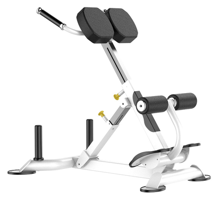 Macchina di Rohs Roman Chair Back Extension Exercise per la palestra