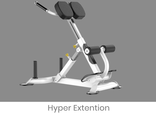 Macchina di Rohs Roman Chair Back Extension Exercise per la palestra