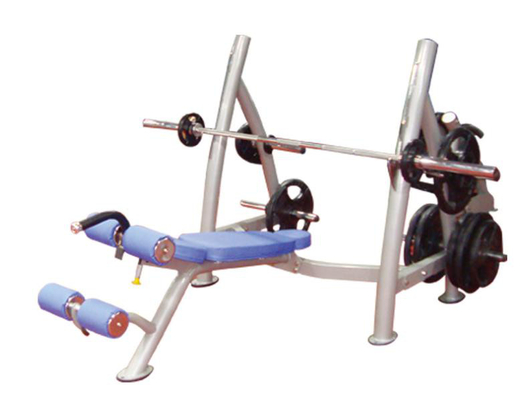 Banco di peso su ordinazione della palestra di Logo Exercise Muscle Metal Decline