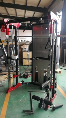 Forma fisica commerciale Smith Machine 200kgs dello scaffale combinato di potere