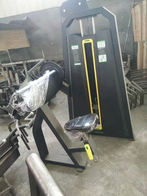 Il tricipite di esercizio della palestra del body building dell'OEM arriccia il rivestimento della polvere della macchina