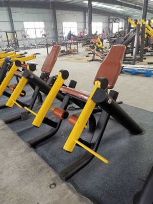 Messo remando attrezzatura commerciale di funzione della palestra dell'interno dell'attrezzatura di Back Muscle Exercise dell'istruttore la singola