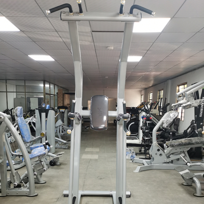 ODM dell'OEM della macchina di Chin Up Bar Body Fit di forma fisica di culturismo