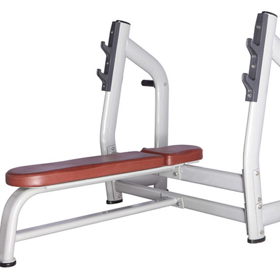Istruttore Flat Weight Bench 150kgs della palestra integrato body building