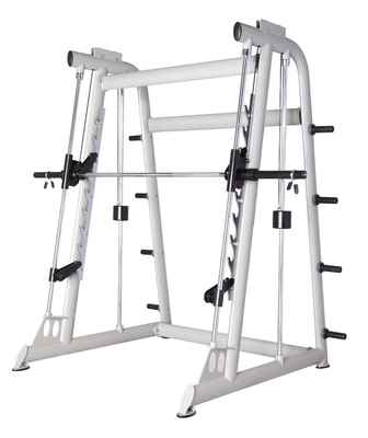 Istruttore d'acciaio commerciale della palestra di Smith Machine Home Gym Integrated della metropolitana