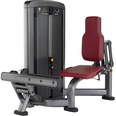 Macchina di aumento del vitello messa metropolitana ovale del body building della palestra
