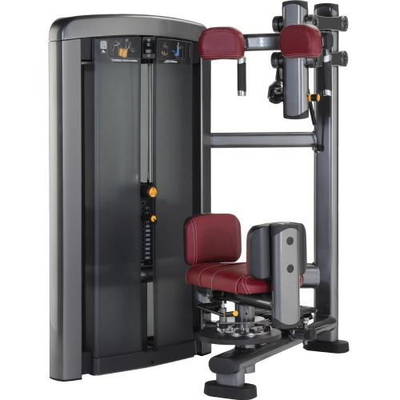 Macchina rotatoria di esercizio del torso della nuova di vita di culturismo di forma fisica metropolitana ovale dell'attrezzatura