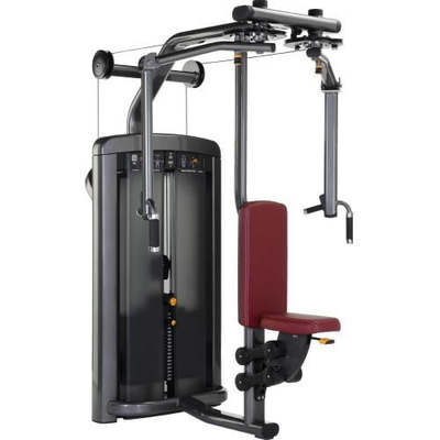 Il PEC pilota il nuovo rivestimento della polvere della palestra della macchina di Delt dell'attrezzatura di forma fisica di vita