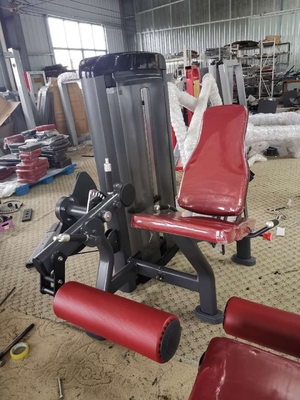 La nuova attrezzatura di forma fisica di vita ha spiegato il rivestimento messo della polvere della macchina della stampa di Tricep